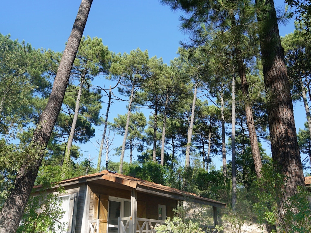 Moliets - Vacation Home With Terrace