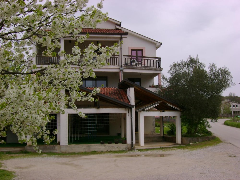 Pansion Robi, photo 27