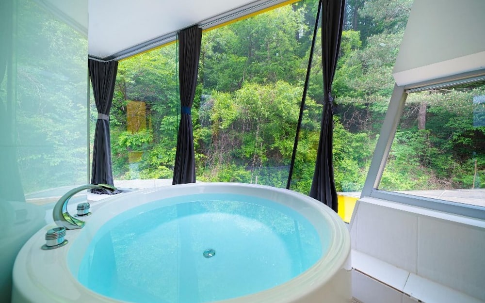 Gapyeong Telem Pool Villa view 2