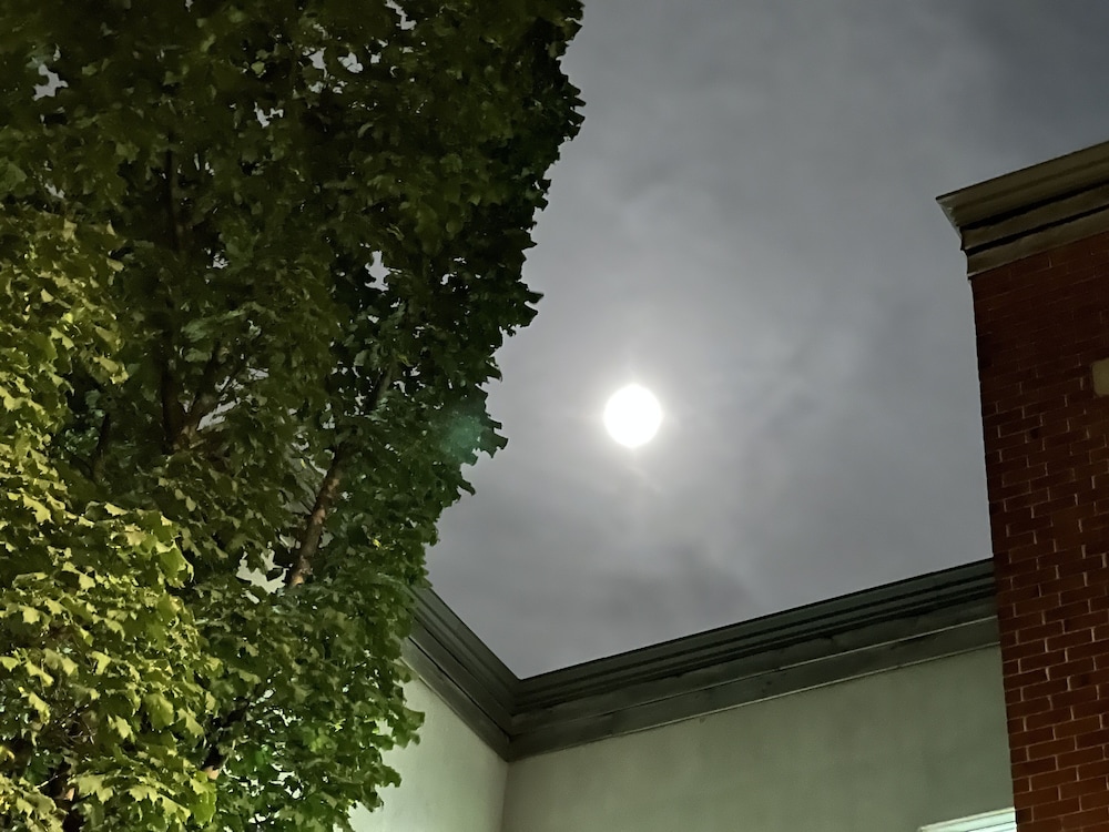Photo 58