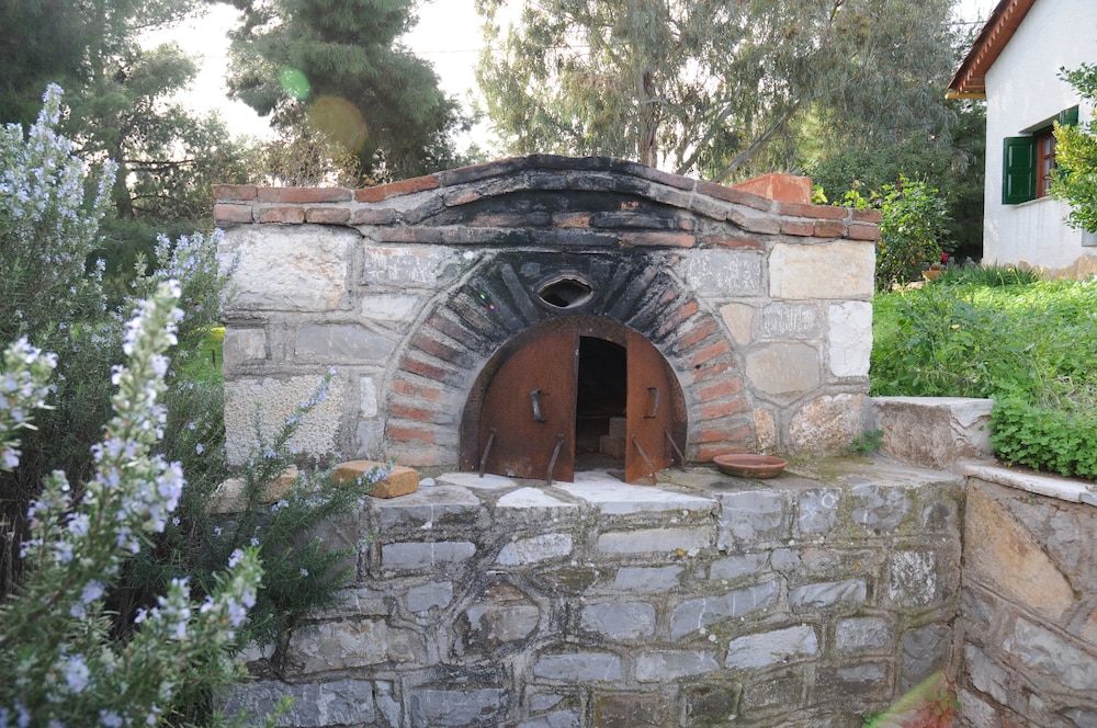 Photo 21
