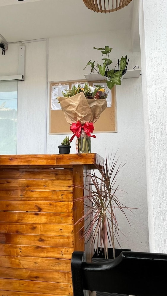 Primos Hostel & House
