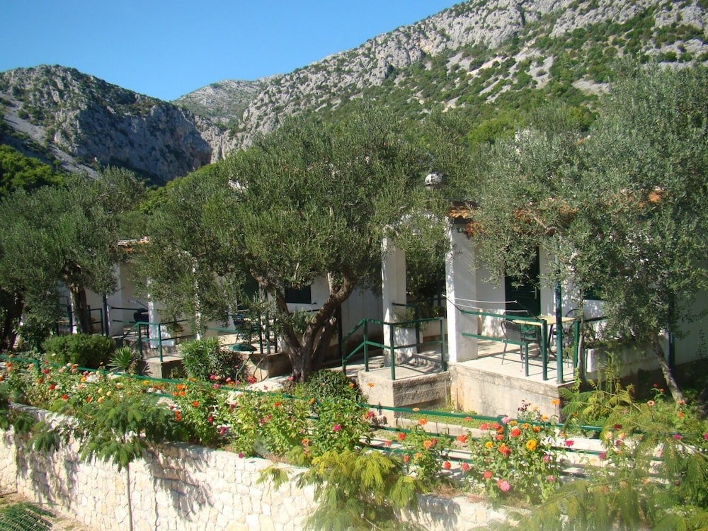 Photo 20