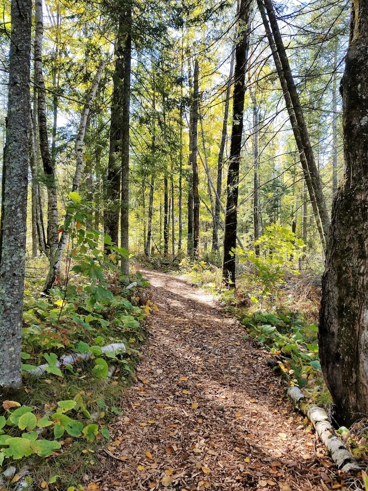 Shire In The Woods