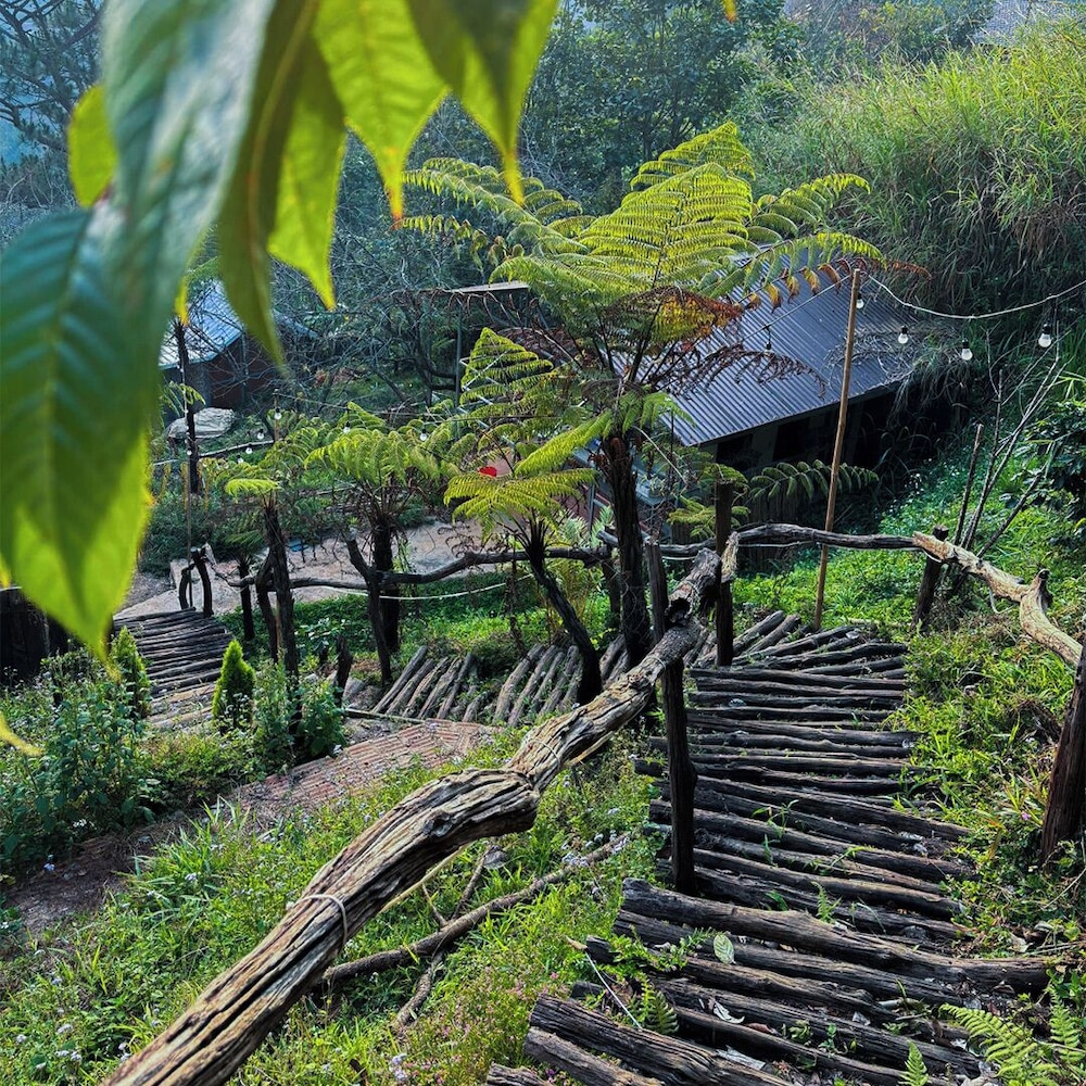Dong Homestay