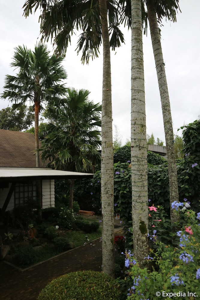 Photo 25