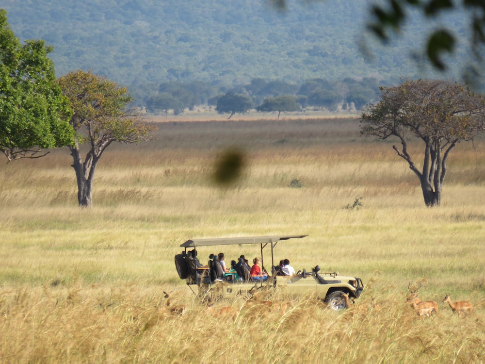 Mikumi Wildlife Camp