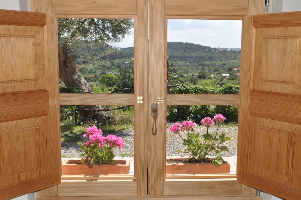 Agritourismo Alquería Blanca view 3