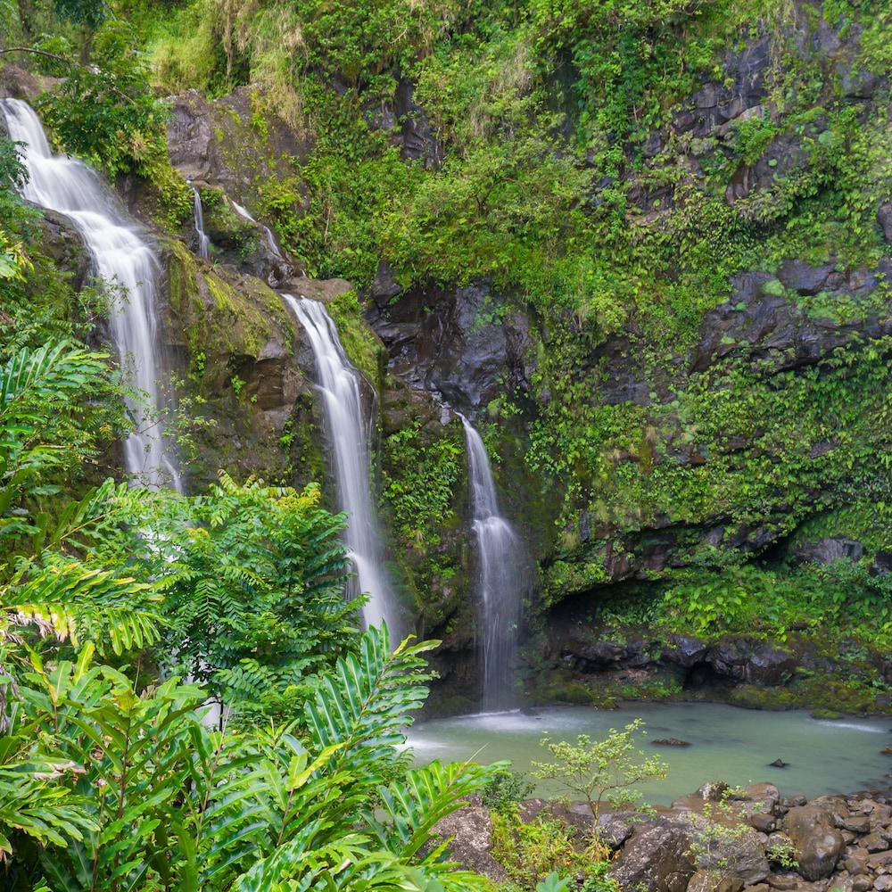 Mahana 1202 in Lahaina