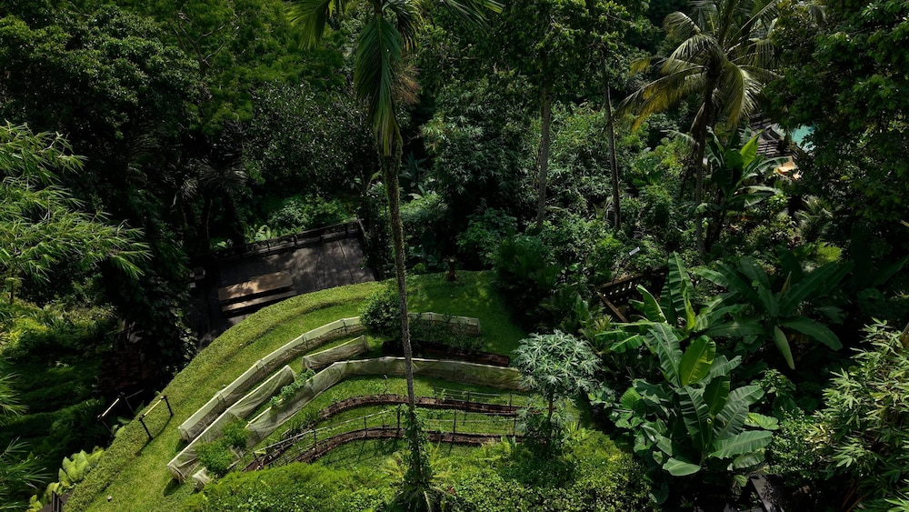 Sumeru Botanical Estate