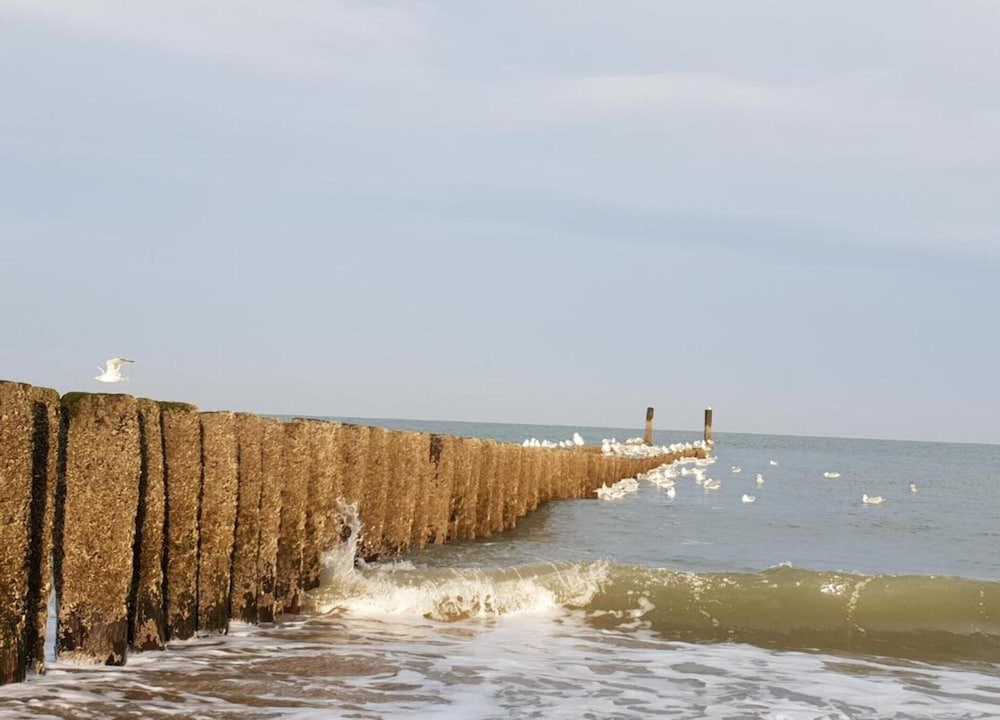 Holiday Home in Oostkapelle Near Beach
