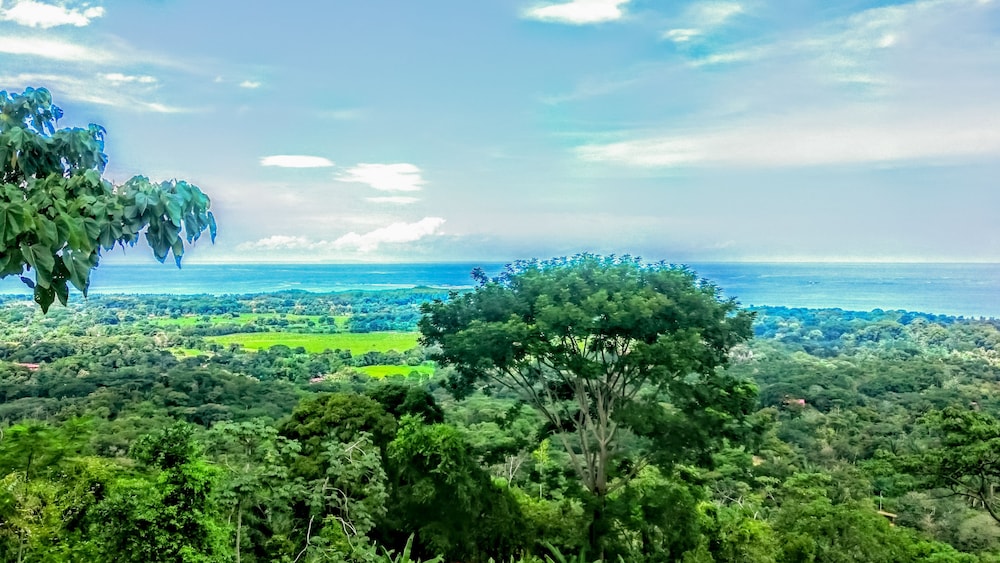 Vista Ballena