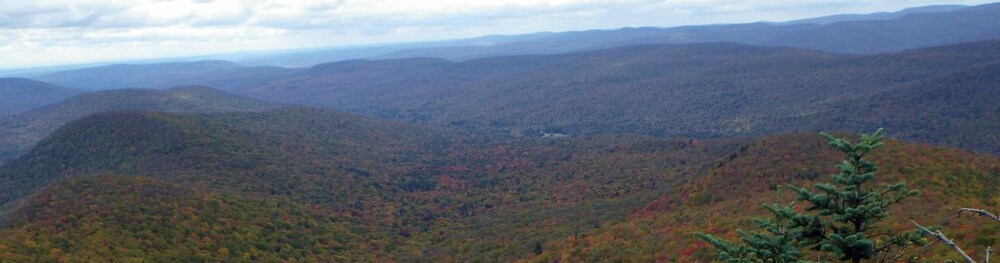 Cold Spring Lodge