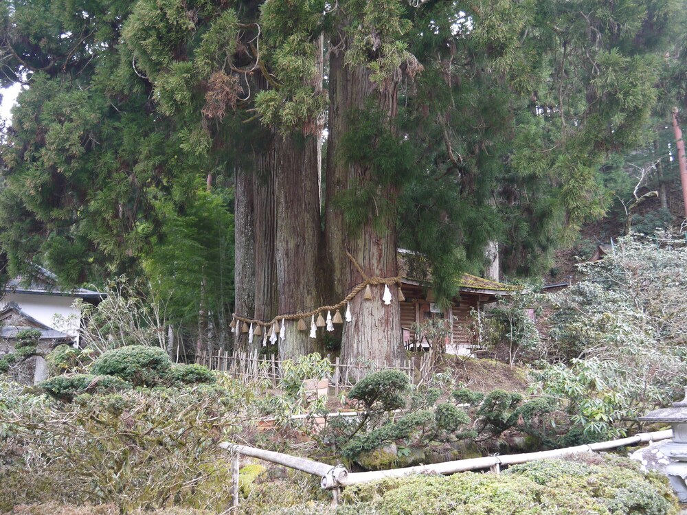 Photo 22