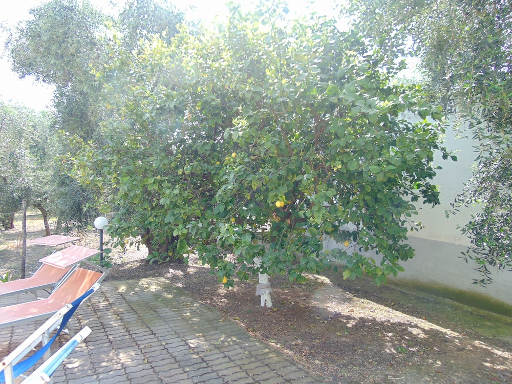Photo 34