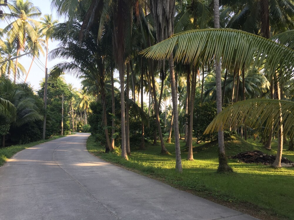 155 SalaCoco
