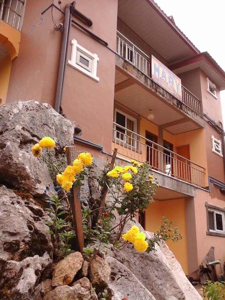 Photo 23