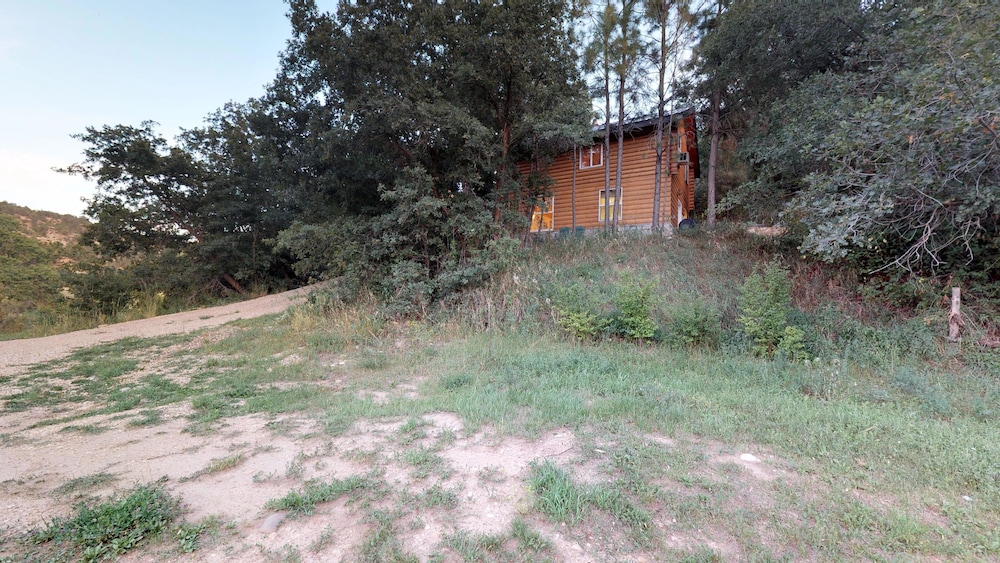 Photo 28