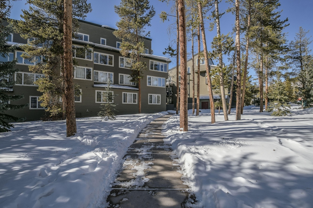 Pines 2169