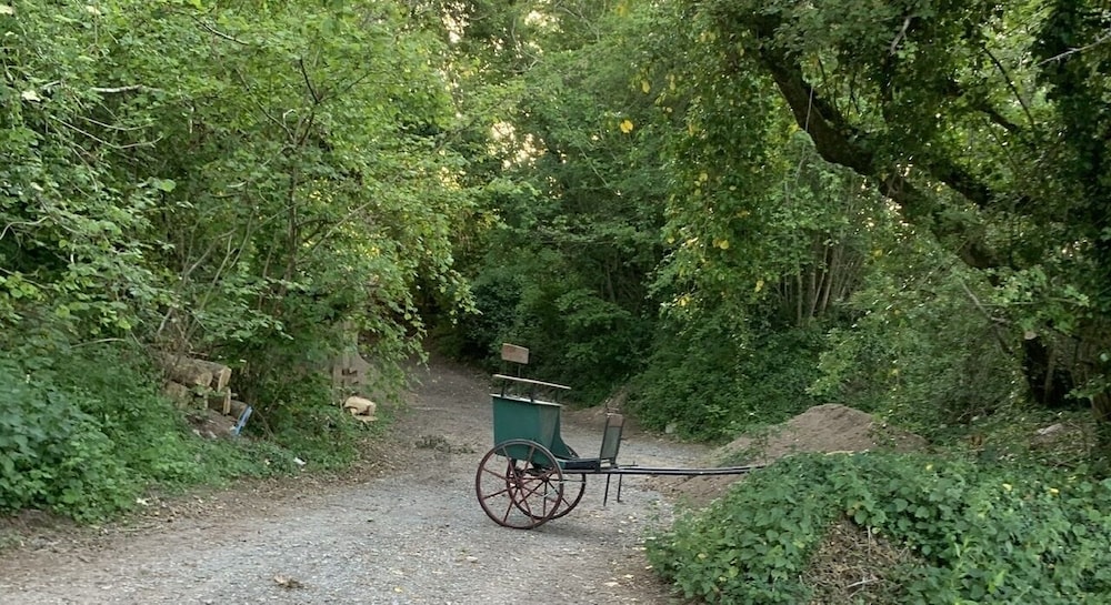 Photo 43