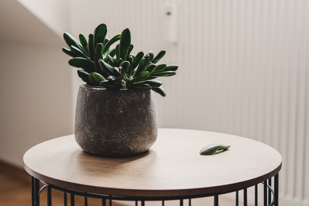 Hygge Lisbon Suites - Estrela