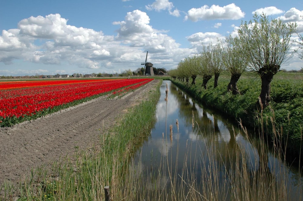 Restinn Andijk