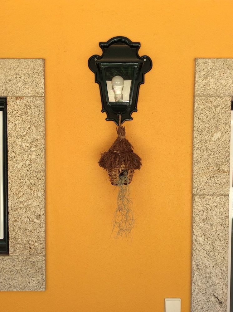 Charming Antas House, photo 241