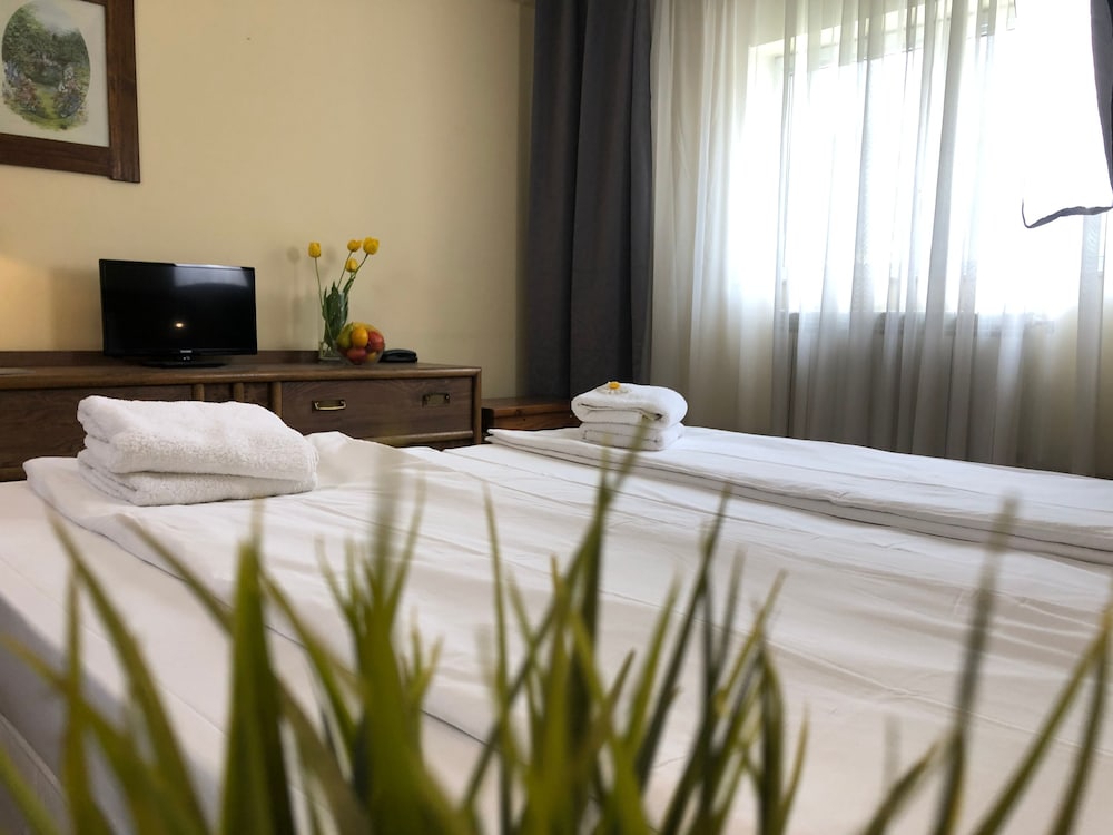 Bansko Vacations - Chateau Vaptzarov Hotel - Property Image 30