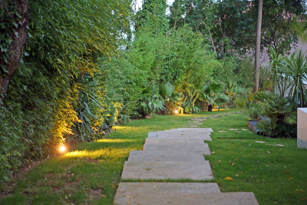 Photo 35