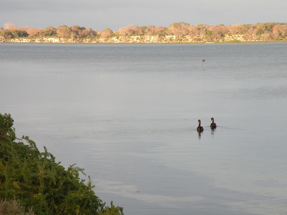 The Anchorage