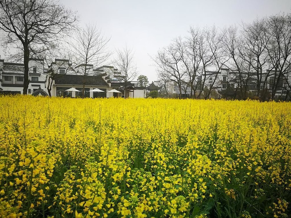 Huangshan Huizhou Creek Villa