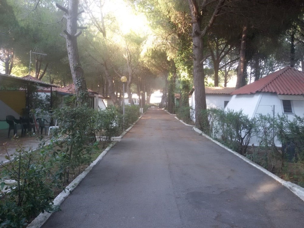 Parco delle Viole