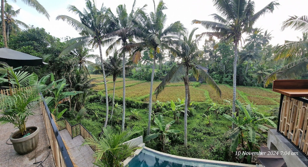 Bali View Ubud