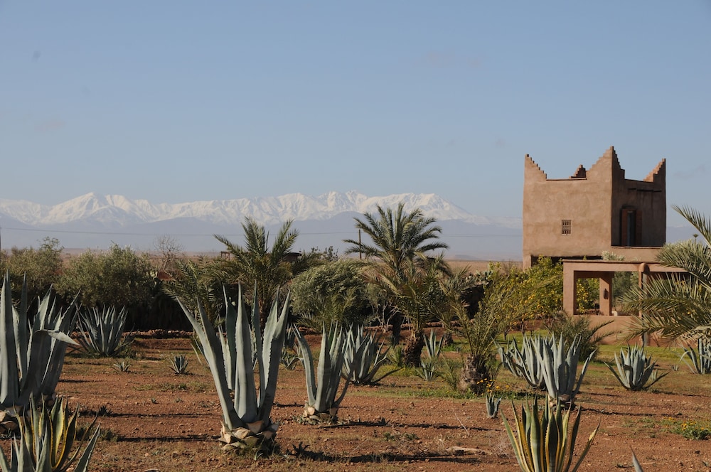 La Parenthese de Marrakech