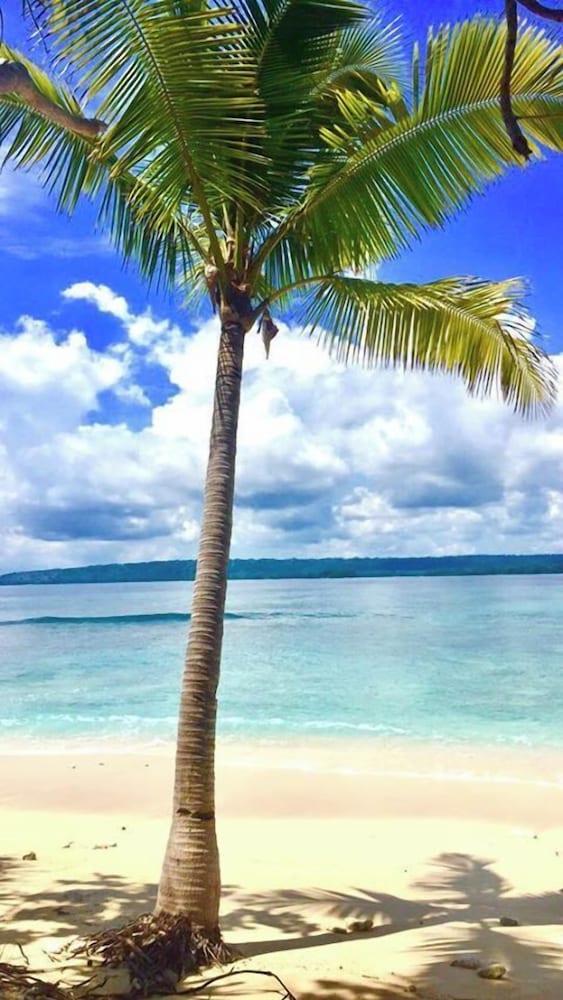 Dany Island