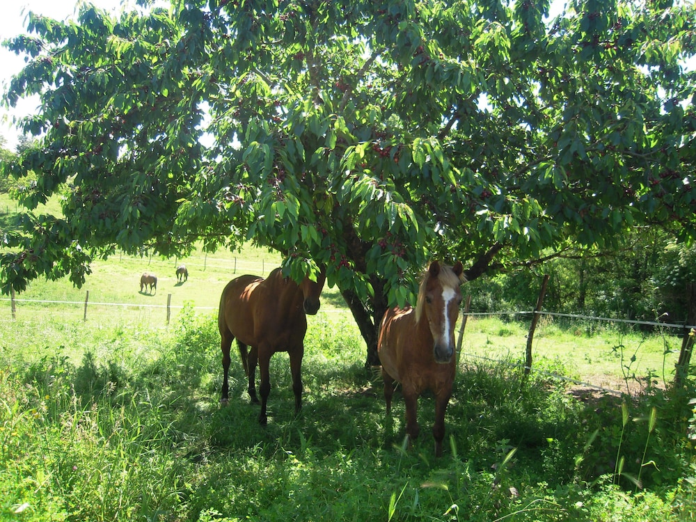 Domaine de L'estuaire
