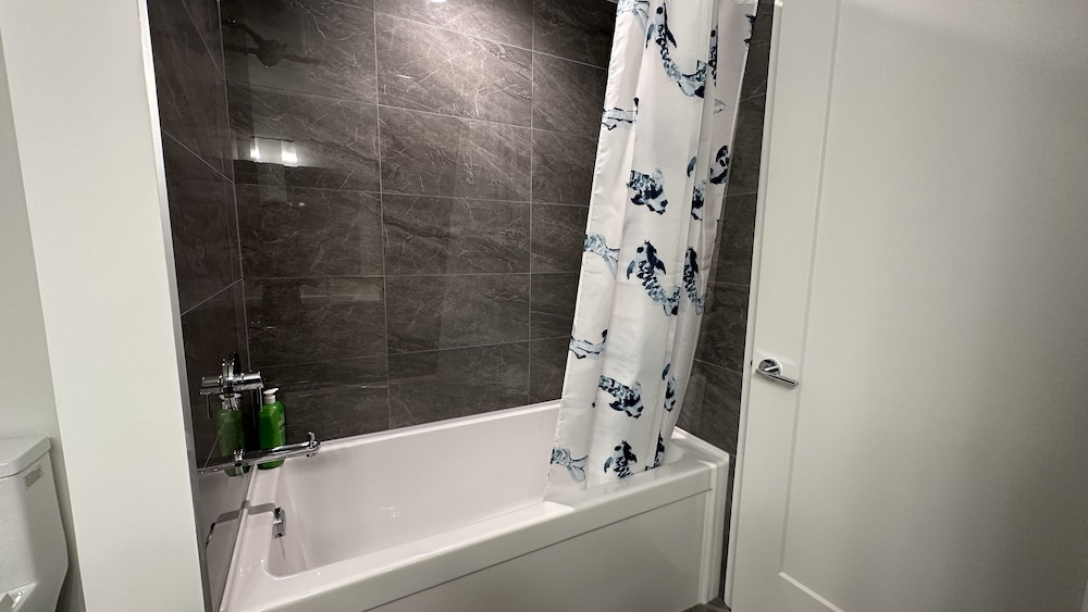 Vancouver Vacations - Ruby Red Cloud Homes Vancouver - Property Image 15