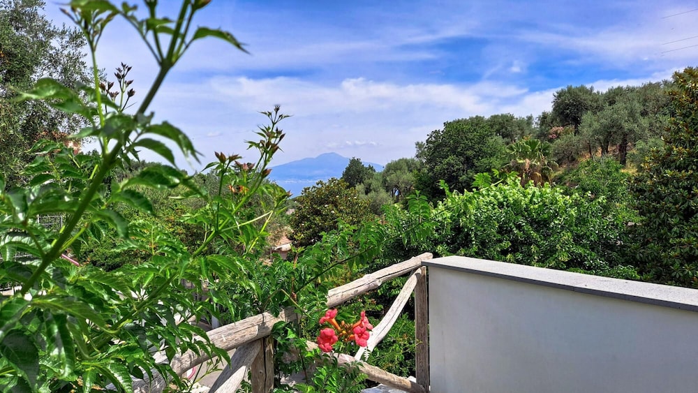 Villa Luciana With Bio Pool and Private Garden view 5