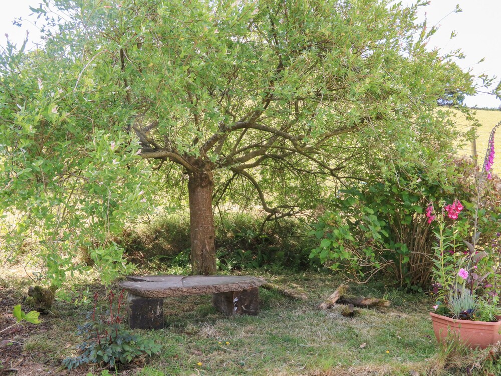 Owl's Nest