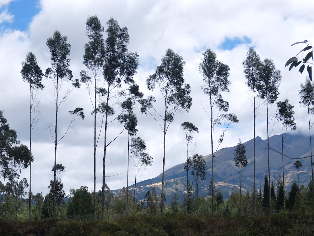 Refugio Terra Esperanza - Hostel