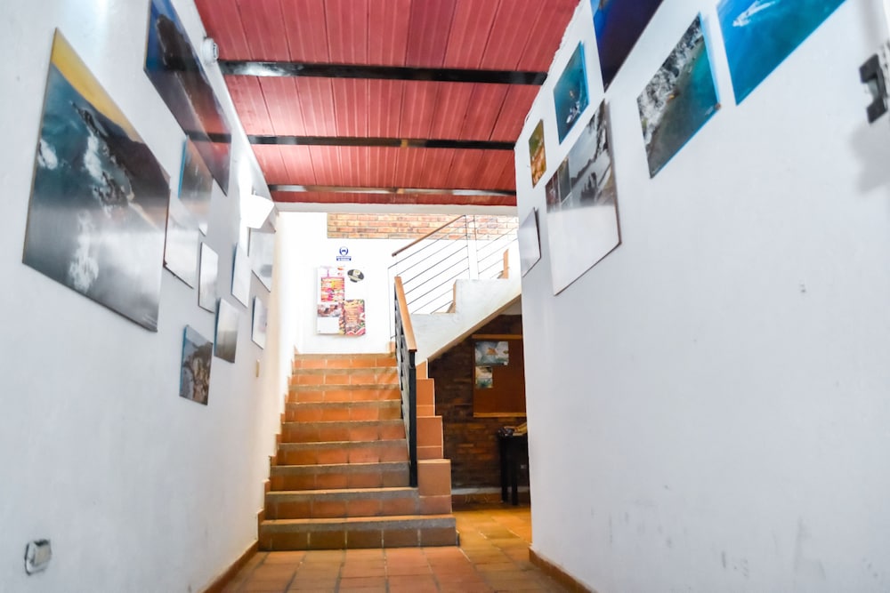 Aluna Hostel B&B