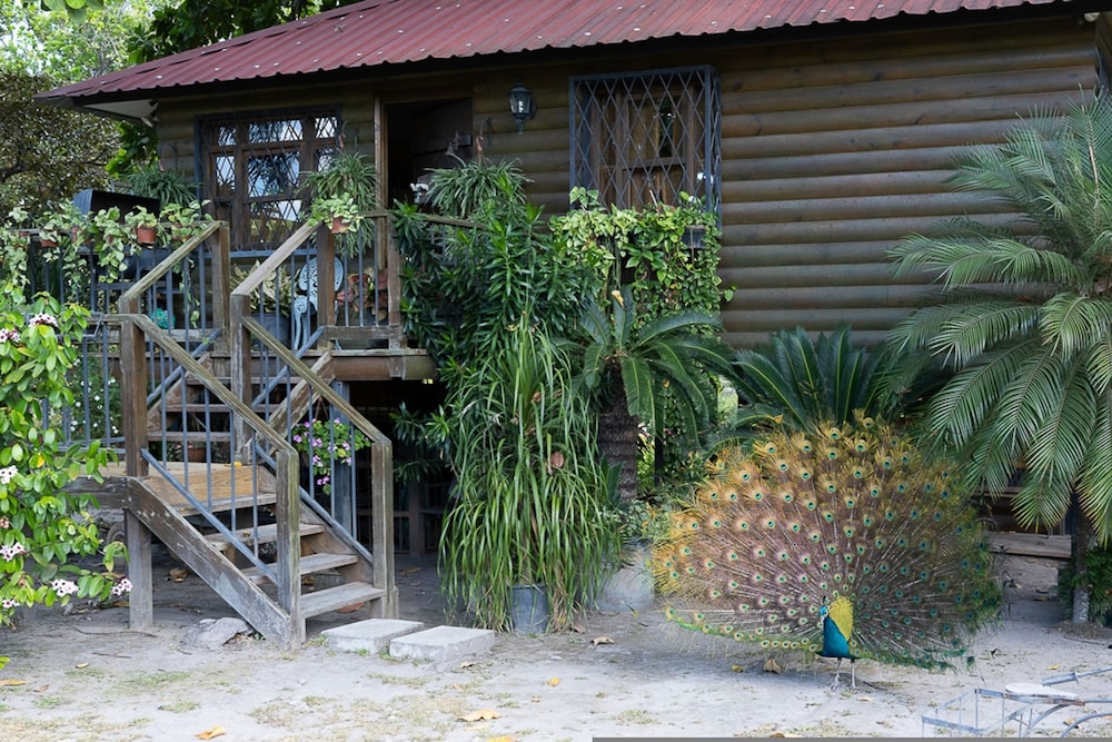 Quinta Pavo Real by Acomodo