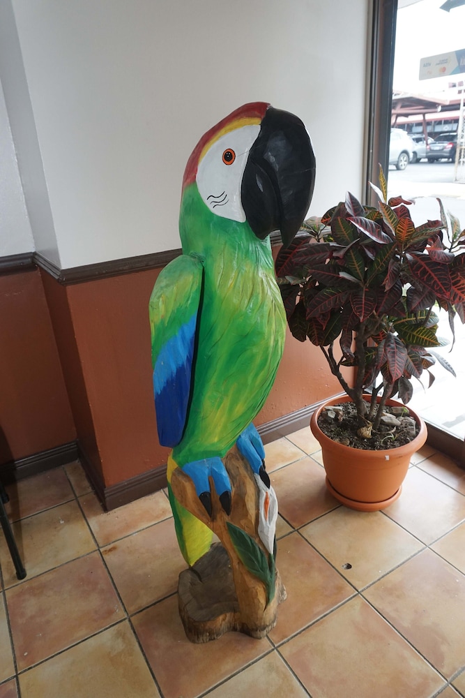 Hotel el Tucan Alajuela view 3