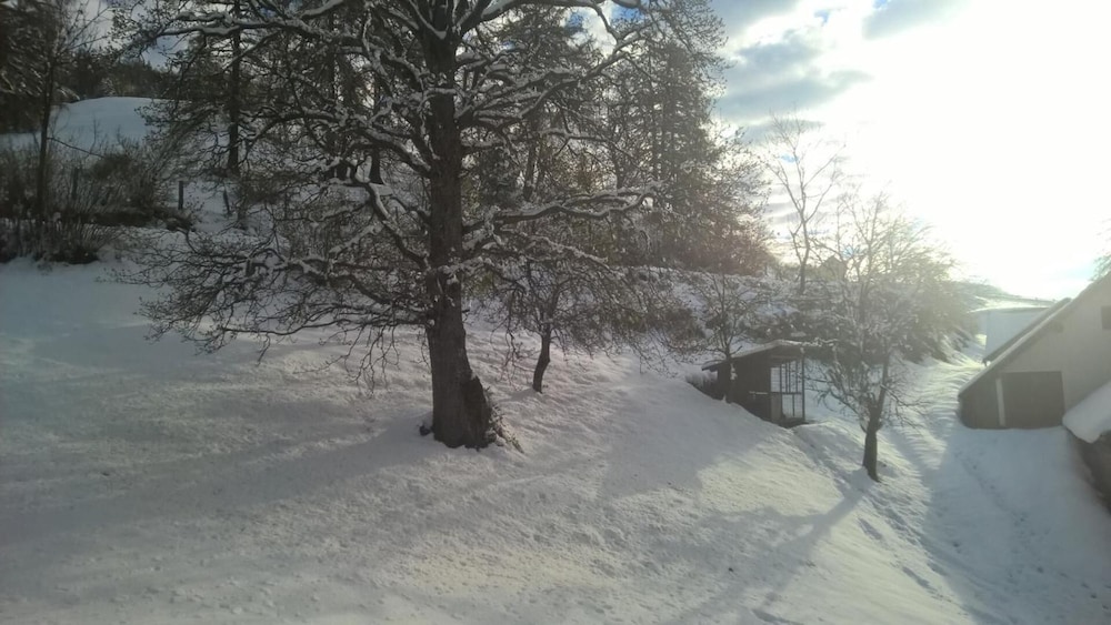 Photo 43