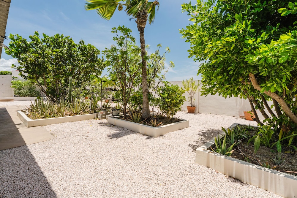 1 Minute Walk to Beach Aruba Mangel Halto