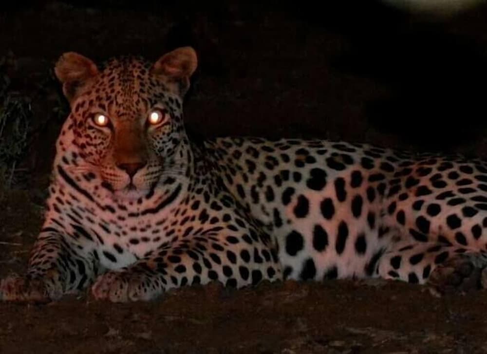 Bonamanzi Game Reserve