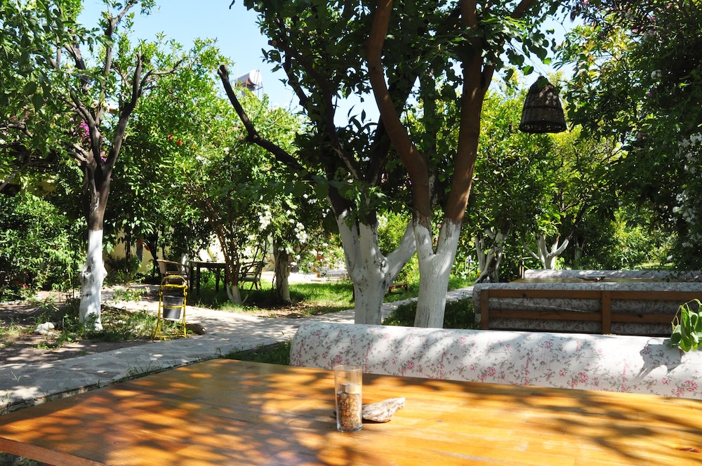 Photo 25