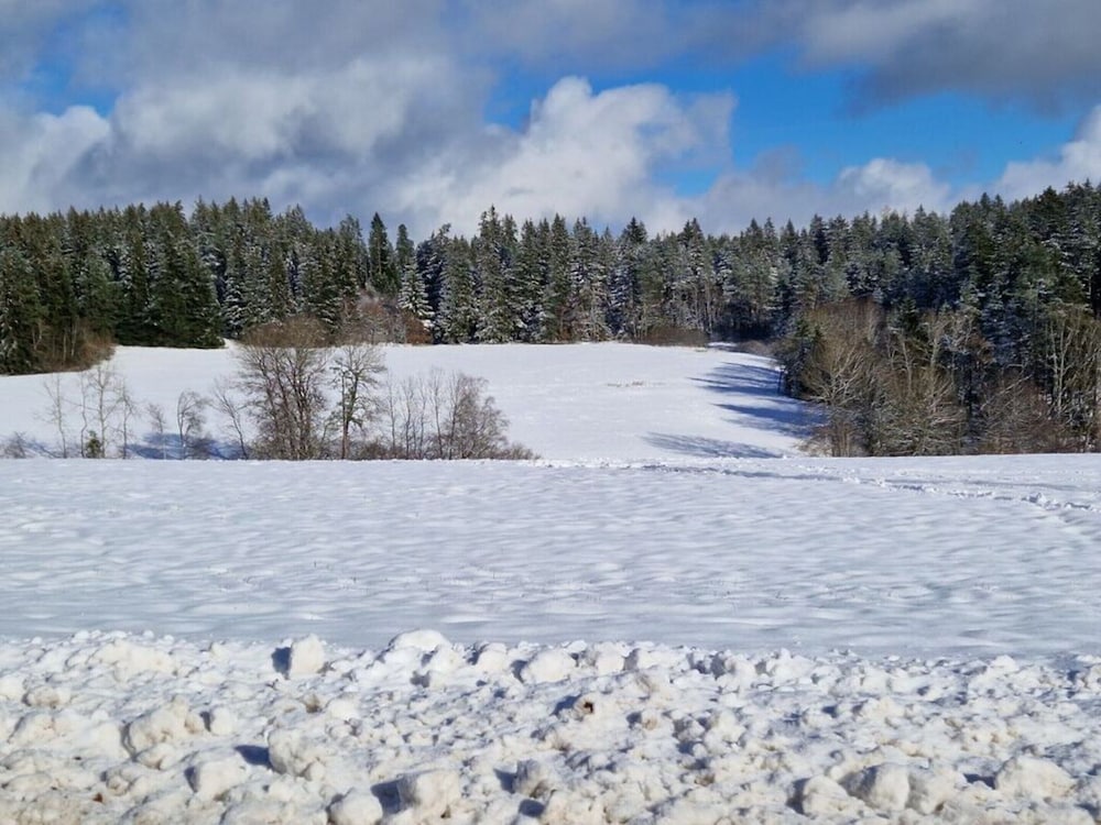 Waldresidenz Comfortable Holiday Residence