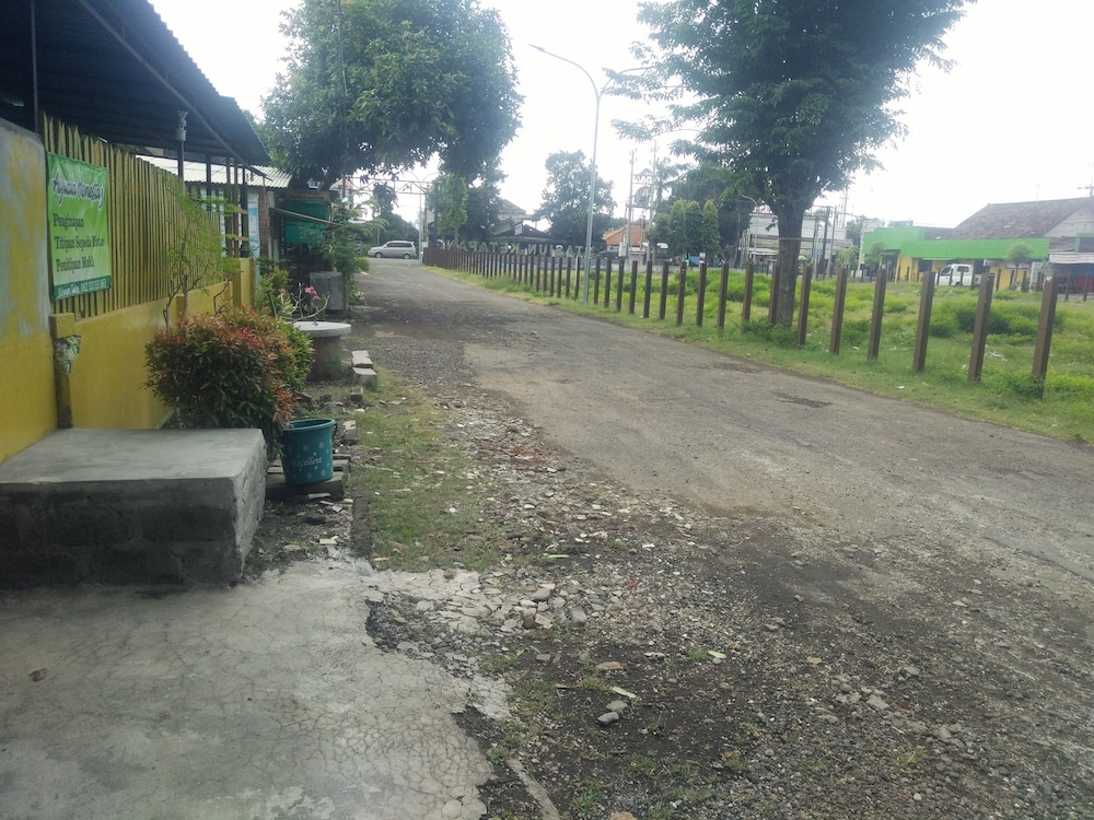 Photo 41