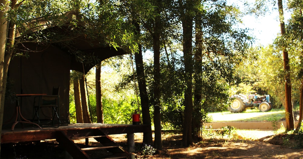 Tri Active Lodge
